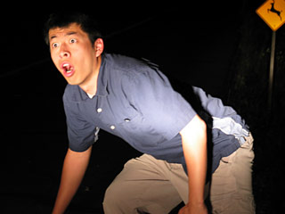 deerinheadlights.jpg